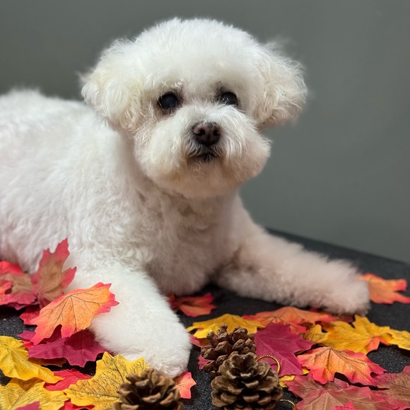 My Story... What Makes My World Go 'Round! - Picture 7 of 9